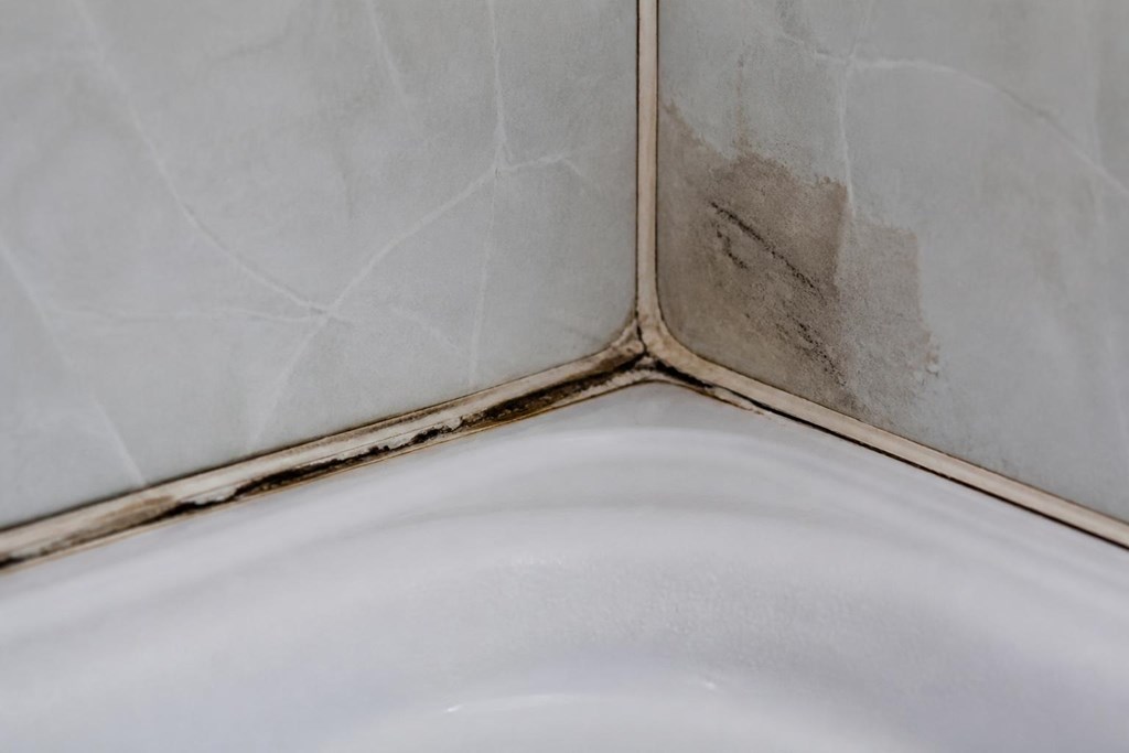 5 señales de que hay una fuga oculta en su baño
